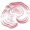 LZC Token (LZC) logo